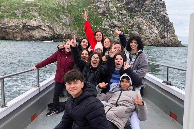 Howth Coastal Boat Tour (Ireland's Eye Ferries 50 mins trip) - The Ride Itself: Choppy Water Is Part of the Deal