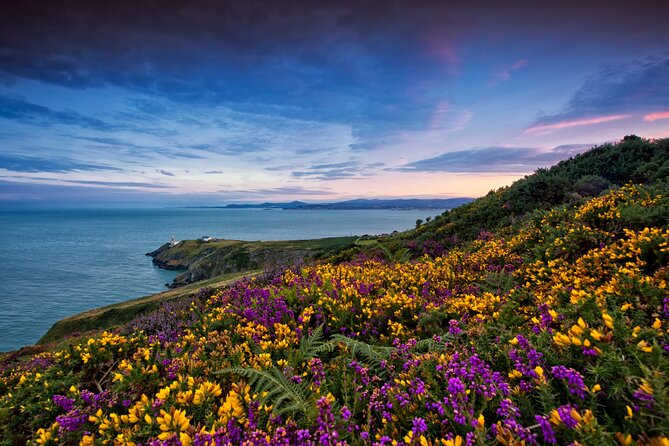 Howth Coastal Half-Day Bus Tour from Dublin with Live Guide - Riding Out of Dublin, Without Losing the Group