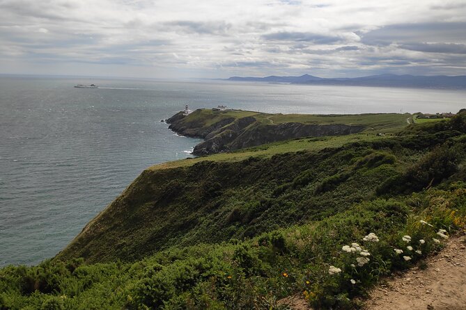 Howth Hiking Trail from Dublin: Mythology and Legend - Forest picnic and fairy houses: the slow magic between climbs