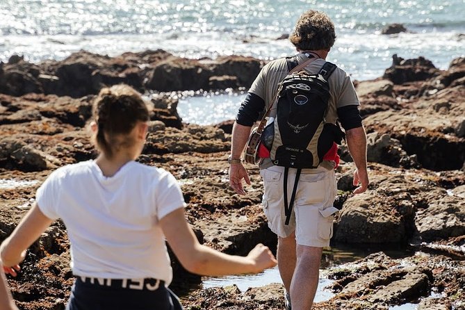 Howth Safari Hiking Tour - Bog of the Frogs: quiet path, big views over Dublin Bay