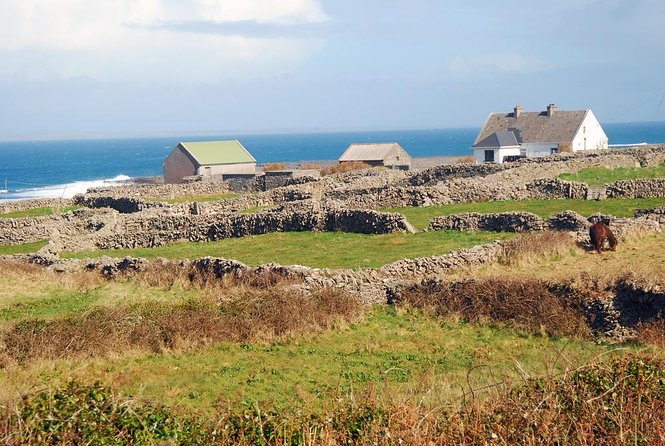 Inis Mór (Aran Islands) Day Trip: Return Ferry from Rossaveel, Galway - Key things to know before you go