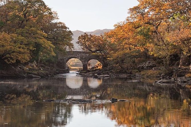 Innisfallen Island - Scenery & history of Killarney National Park - Why Innisfallen Island feels like a time machine on Lough Leane