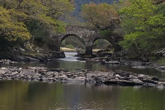 Innisfallen Island - Scenery & history of Killarney National Park - Value check: is $24.14 worth it?
