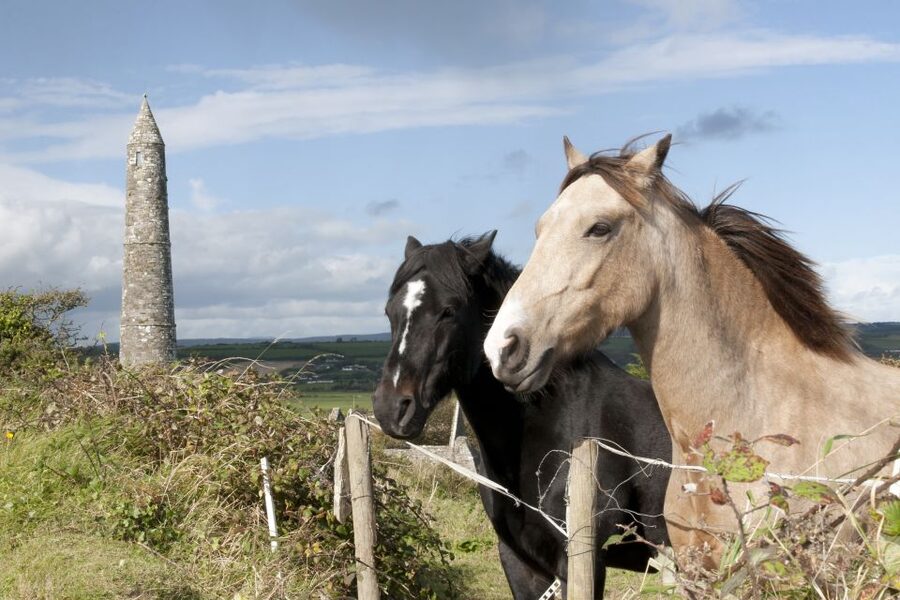 Ireland: Blarney Castle, Kilkenny & Irish Whiskey 3-Day Tour - The Copper Coast UNESCO Geopark Drive: A Scenic Segment With Built-In Context