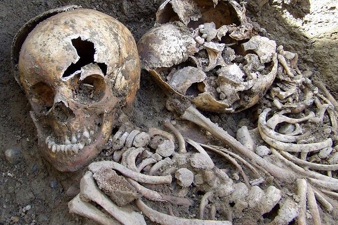 Irish Famine Museum / Exhibition Dublin - The self-guided route that lets you move at your own pace