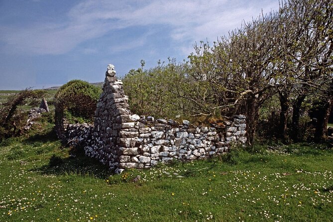 Irish Famine Museum / Exhibition Dublin - The 15-minute documentary film, and how to make it comfortable