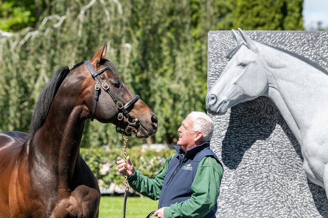 Irish National Stud & Gardens Skip the line Entrance - Japanese Gardens and St Fiachra’s Garden, two moods in one visit