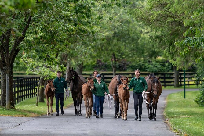 Irish National Stud & Gardens Skip the line Entrance - Who this Dublin day trip fits best