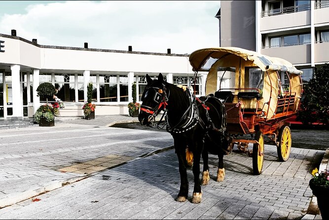 Jaunting Car Tour in Killarney National Park - Shepherds Lodge Meeting Point and How to Stay Smooth