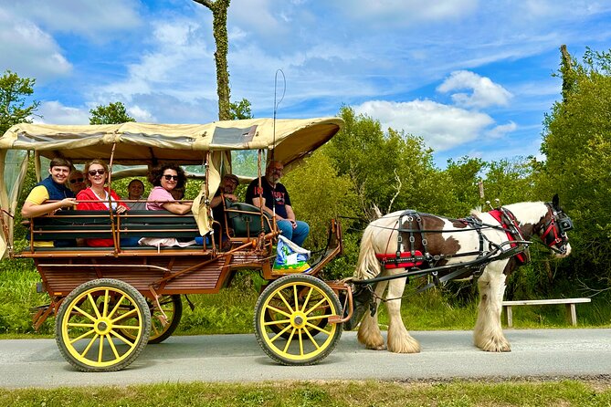 Jaunting Car Tour in Killarney National Park - Price and Value at About $66.54 Per Person