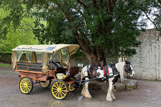 Jaunting Car Tour in Killarney National Park - Into Killarney National Park: UNESCO Nature Time and Lake Views