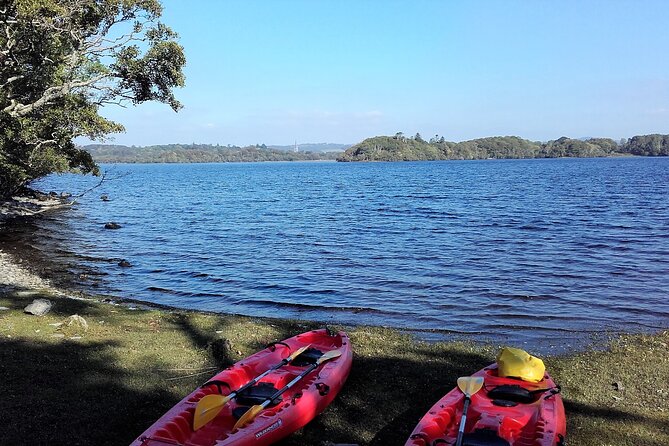 Kayak to Innisfallen island. Killarney. Guided. 2½ hours. - Paddling the Lakes: Views, Pace, and Wildlife Spotting