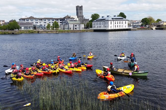 Kayaking & Canoeing in Limerick City - Wildlife and landmarks you can actually spot from the water
