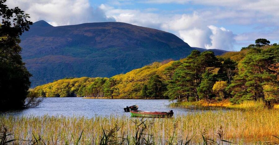 Kerry: Full-Day Tour from Dublin - Why This Dublin-to-Kerry Day Trip Feels Big, Not Random