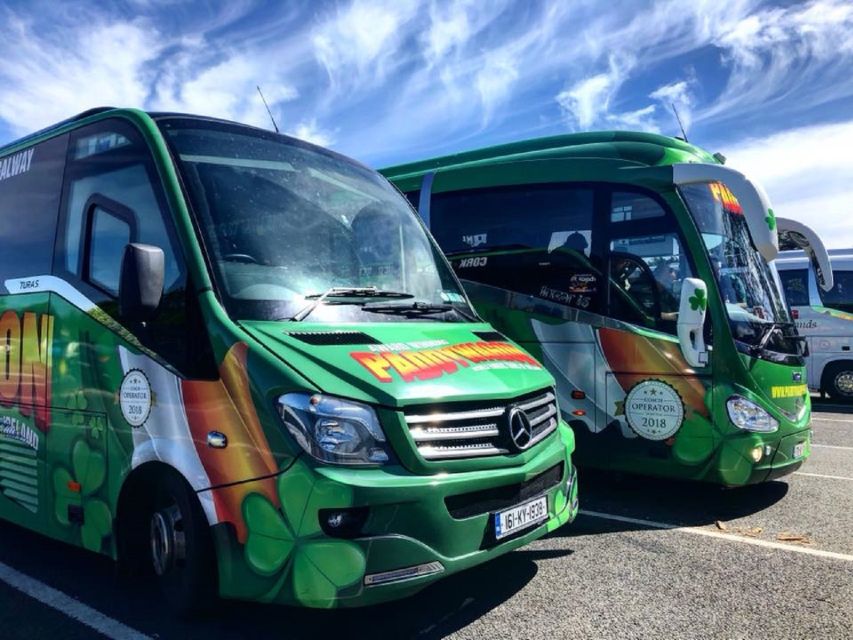 Kerry: Full-Day Tour from Dublin - Killorglin and the Puck Fair Angle on Old Traditions