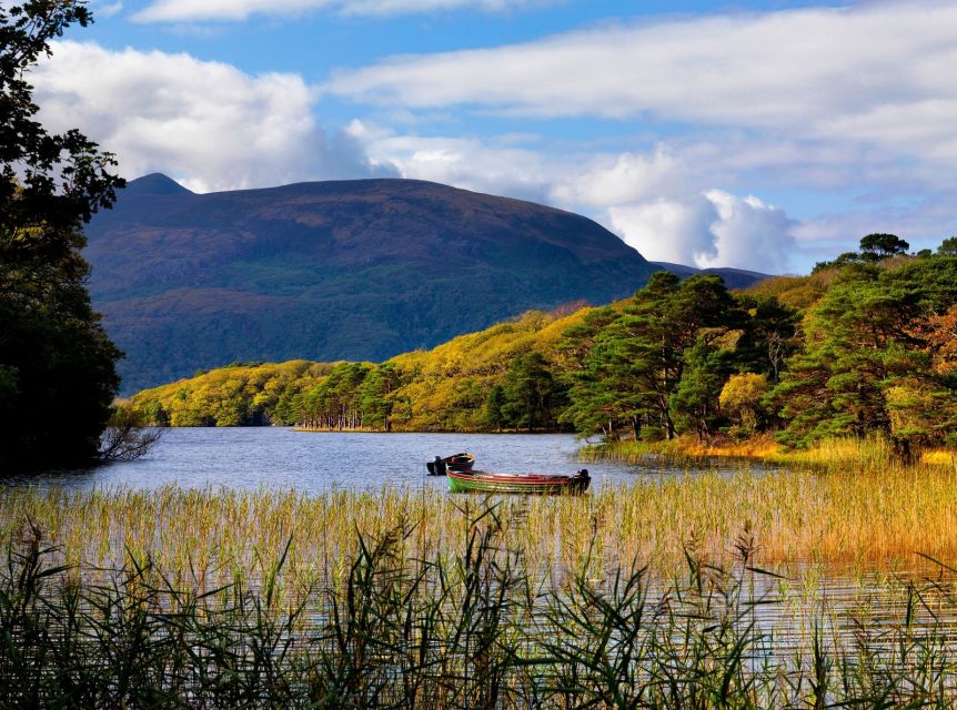 Kerry: Full-Day Tour from Dublin - Bus Time, Timing, and What Makes This Day Feel Manageable