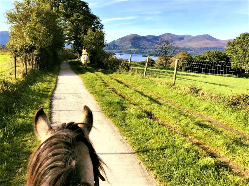 Kerry: Guided Horse Riding Tour in Killarney National Park - Arriving at the Stables 2 km West of Killarney