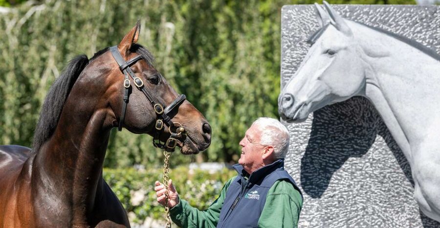 Kildare: Irish National Stud & Gardens - Key highlights that make this ticket worth it