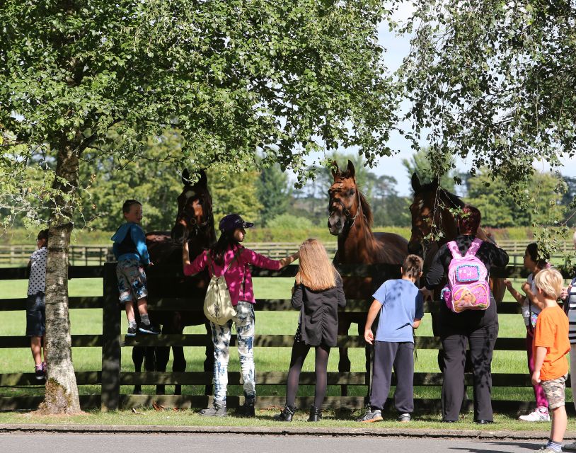 Kildare: Irish National Stud & Gardens - St Fiachra’s Garden: Irish style, native species, and wildlife spotting