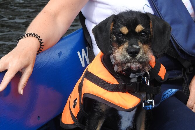Kilkenny Boat Trip - Price and Value: What $18.15 Really Buys You