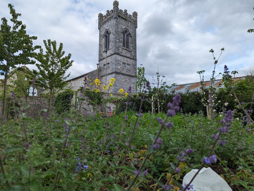 Kilkenny: Historical Highlights Walking Tour - Price and value: why $14 for 2 hours can feel like a deal