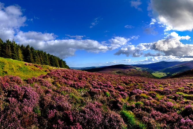 Kilkenny, Wicklow Mountains & Glendalough Day Tour from Dublin - Price and value: what $48.37 really covers for a 10-hour day