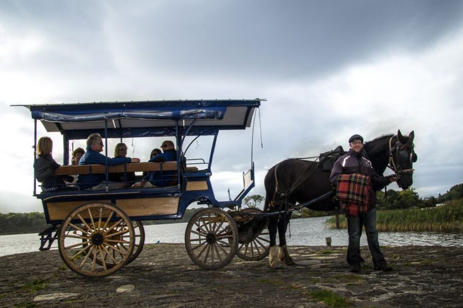 Killarney: 1-Hour Jaunting Car Horse and Carriage Tour - Key highlights to know before you go