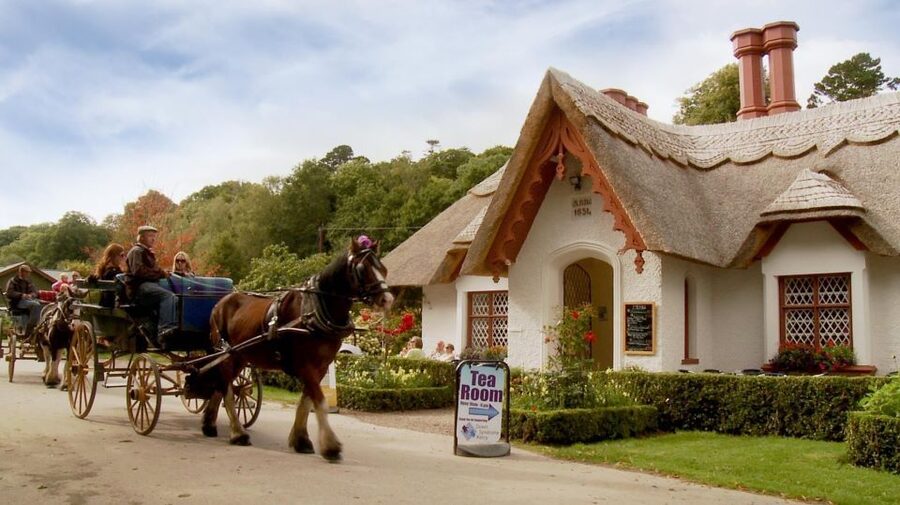 Killarney: 1-Hour Jaunting Car Horse and Carriage Tour - MacGillycuddy Reeks views and St. Mary’s Cathedral along the way