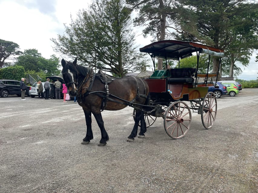 Killarney Carriage Tours National Park and Lakes - Key highlights worth caring about