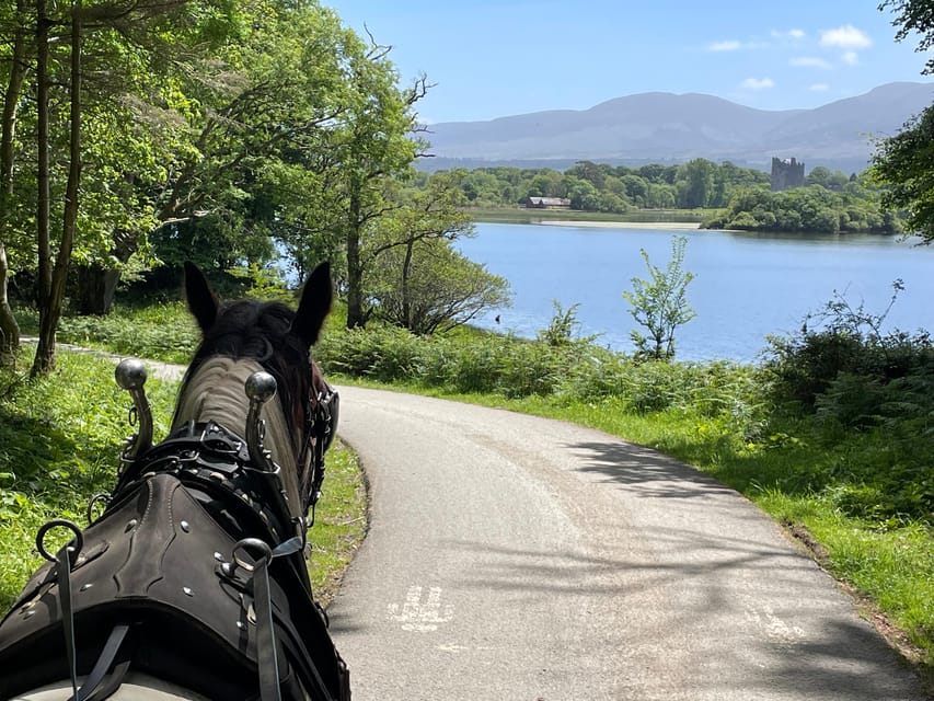 Killarney Carriage Tours National Park and Lakes - How the jaunting car ride feels through Killarney National Park