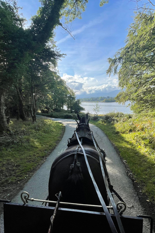 Killarney Carriage Tours National Park and Lakes - Mountains, lakes, and red deer parks from the carriage seat