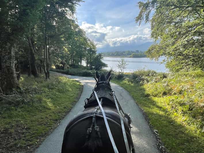 Killarney Carriage Tours National Park and Lakes - Price and value: what $40 per person really buys