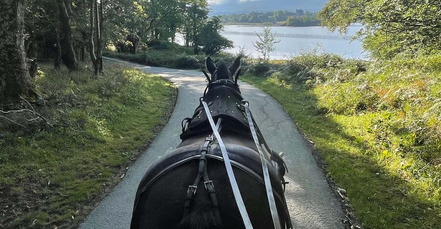 Killarney Carriage Tours National Park and Lakes - Who this carriage tour suits best (and who might feel limited)