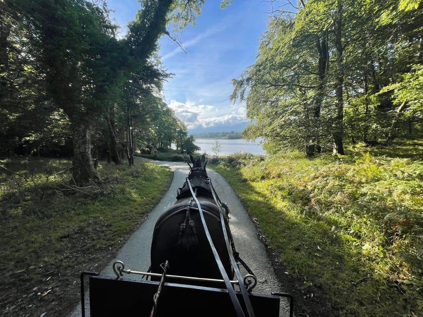 Killarney Carriage Tours National Park and Lakes - FAQ