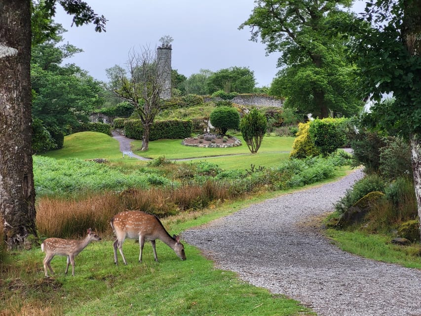 Killarney: Gap of Dunloe Day Tour - Who this tour fits best, and who should think twice