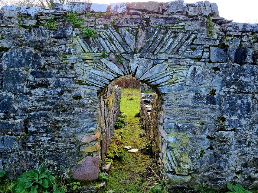 Killarney: Guided Boat Tour to Innisfallen Island - Who should book this Innisfallen boat tour?