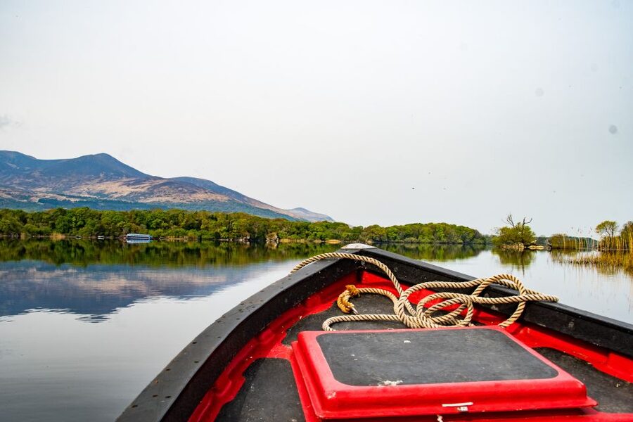 Killarney: Guided Boat Tour to Innisfallen Island - Ross Castle to Reen Pier: your quick start on the water