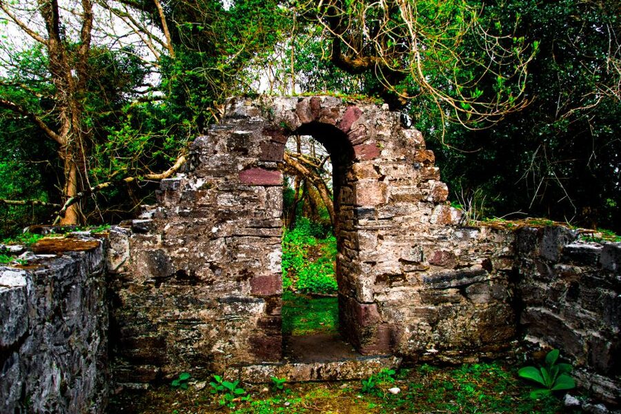 Killarney: Guided Boat Tour to Innisfallen Island - Price and value: is $24 per person fair for Killarney?