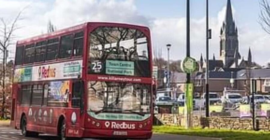 Killarney: Hop-On Hop-Off Bus to Killarney National Park - Key highlights worth your attention