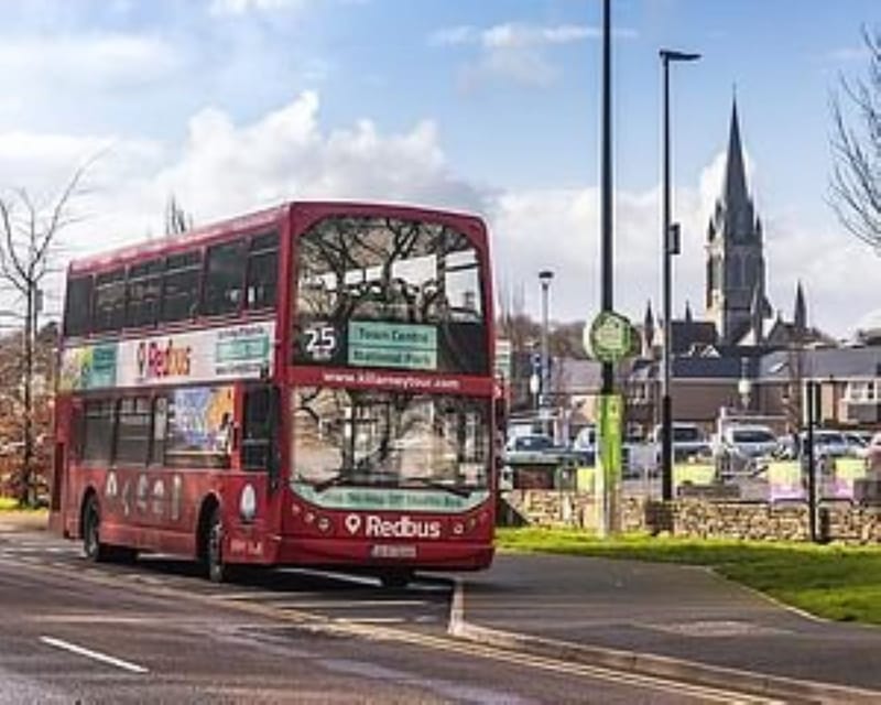 Killarney: Hop-On Hop-Off Bus to Killarney National Park - Mission Road to Ross Castle, the smartest first big stop
