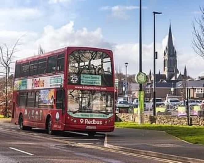 Killarney: Hop-On Hop-Off Bus to Killarney National Park - Torc Waterfall and Torc area walks, where the effort pays off
