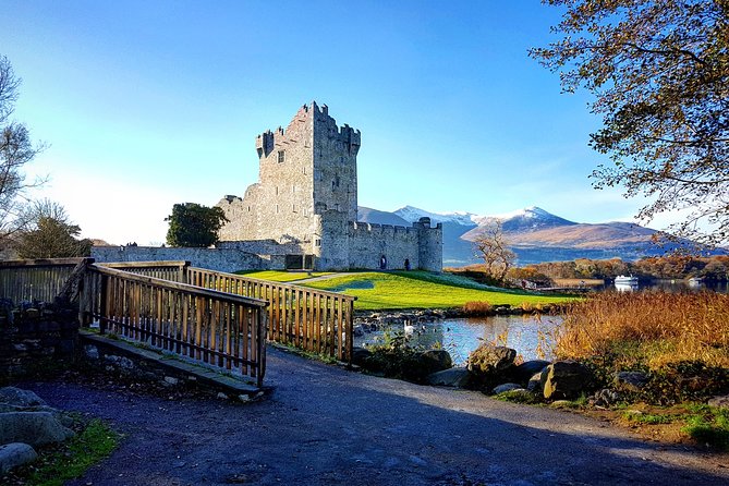 Killarney Jaunting Car & Lily of Killarney Watercoach Tour - Key Highlights You’ll Actually Care About
