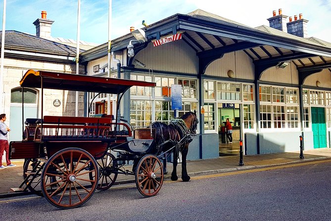 Killarney Jaunting Car & Lily of Killarney Watercoach Tour - Ross Island Copper Mines: The Lake Has Older Secrets