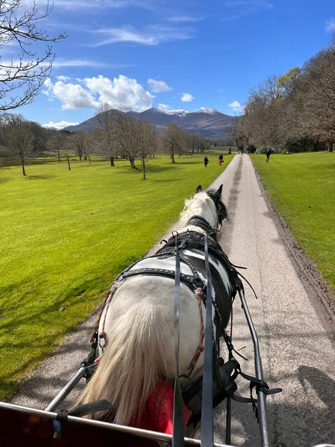 Killarney Jaunting Car Tour - Weather-proof comfort: what to wear and what to expect