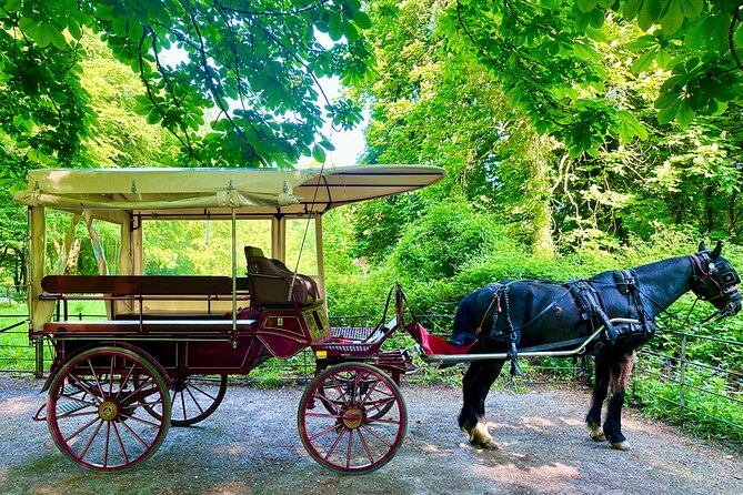 Killarney Jaunting Car Tour - Price and value: is $60.21 worth it for an hour?