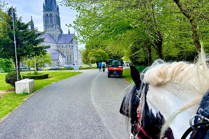 Killarney Jaunting Car Tour - Who this jaunting cart tour is best for