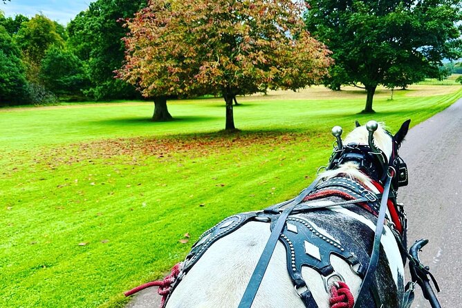 Killarney Jaunting Car Tour - Practical tips so you get the most from the hour