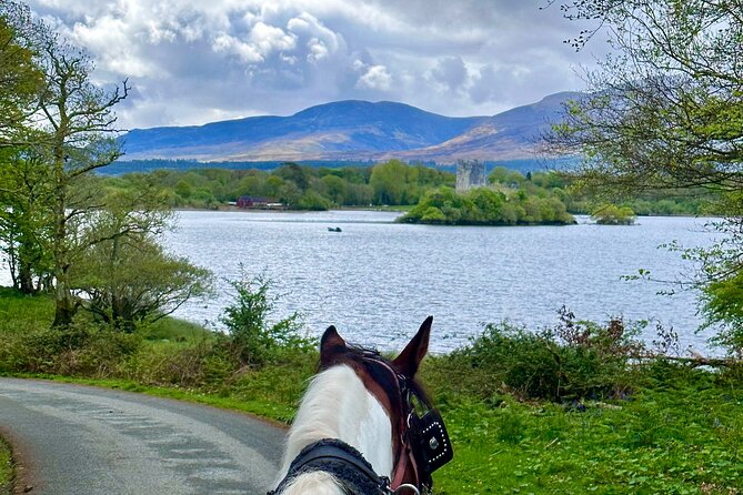 Killarney Jaunting Car Tour - Should you book the Killarney Jaunting Car Tour?