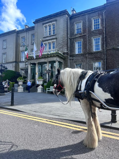 Killarney Jaunting Car Tour - Price and value: is $51 per person worth it?
