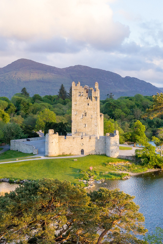 Killarney: Jaunting Car Tour with Afternoon Tea - Should you book this tour?
